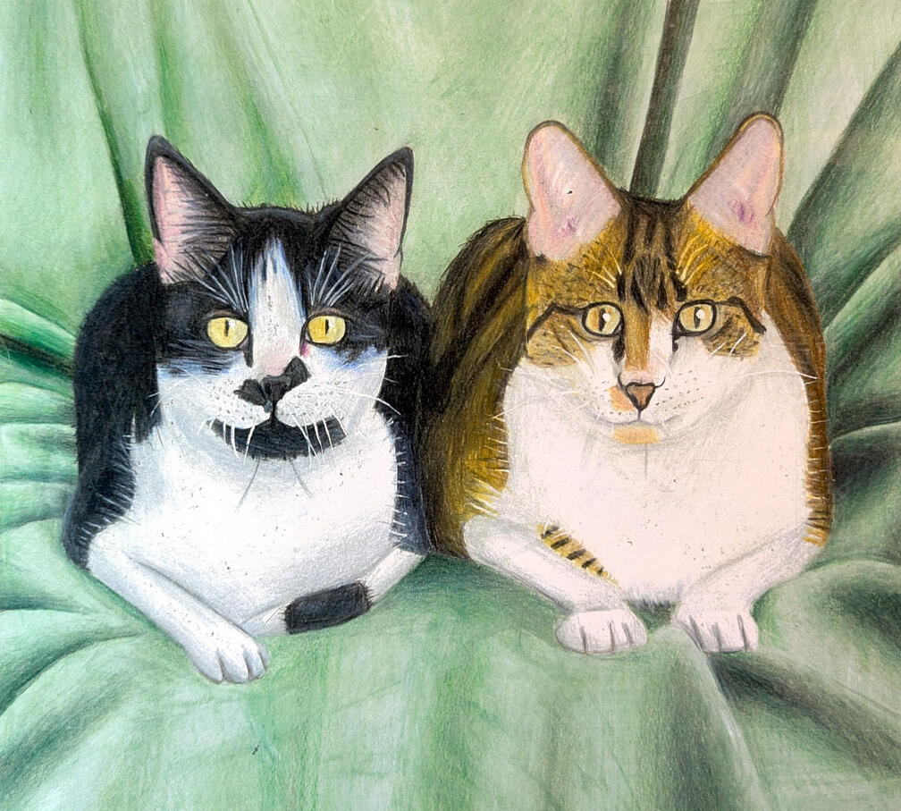 Aunty's cats