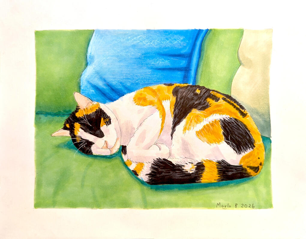Minou